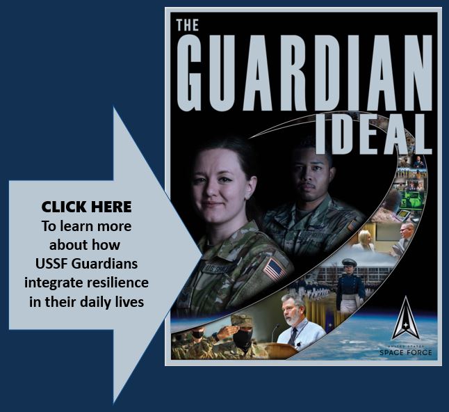 Graphic image of "The Guardian Ideal" handbook cover.